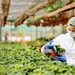 ACUSA EU TRABAS EN AGROTECNOLOGÍA