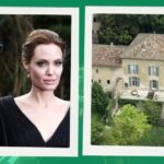 BRAD PITT OBTIENE SENTENCIA FAVORABLE FRENTE A ANGELINA JOLIE SOBRE LOS VIÑEDOS EXCLUSIVOS
