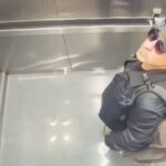 ASESINATO PLANEADO DE MÚSICO Y SU FAMILIA SALE A LA LUZ