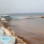 ALERTA SEMAR POR SARGAZO EN DICIEMBRE