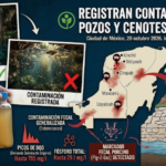 HALLAN CONTAMINACIÓN FECAL EN CENOTES YUCATECOS