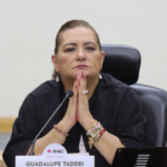 RENUNCIA TADDEI AL INE